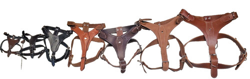 Genuine leather dog harness - genuine,