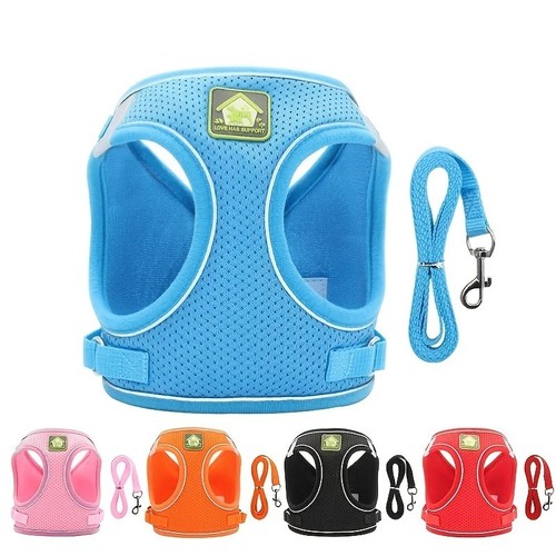 Pull dog pet - dog,